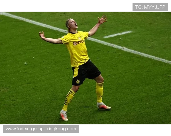 多特追哈兰德式力量归来——重燃进攻梦想，领跑未来